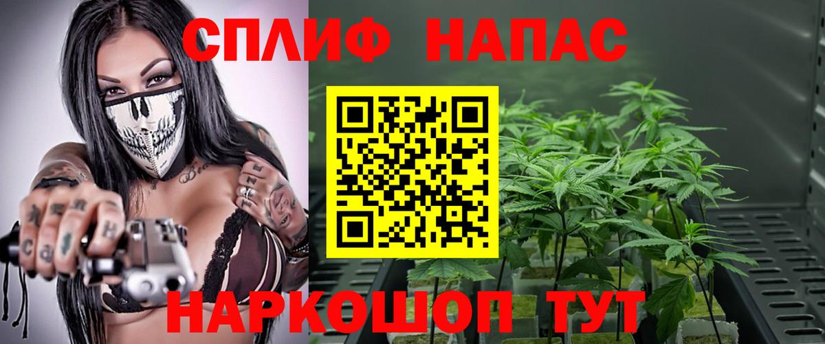 Бошки марихуана THC 21%  Бошки марихуана White Widow  Можга  Вход с VPN  Конопля планчик 